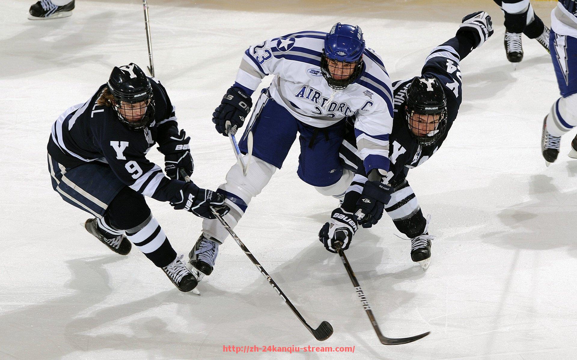 24看球直播网-社区健身器材配置对居民体育参与的积极影响